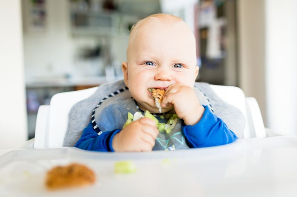 Baby Led Weaning First Foods